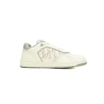 Dior B27 Low Grey White