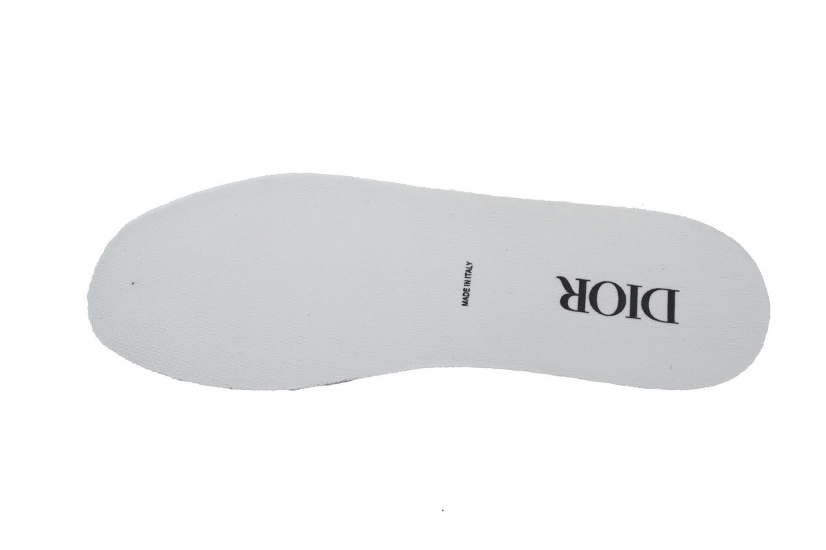 Dior B27Low White