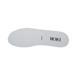 Dior B27Low White
