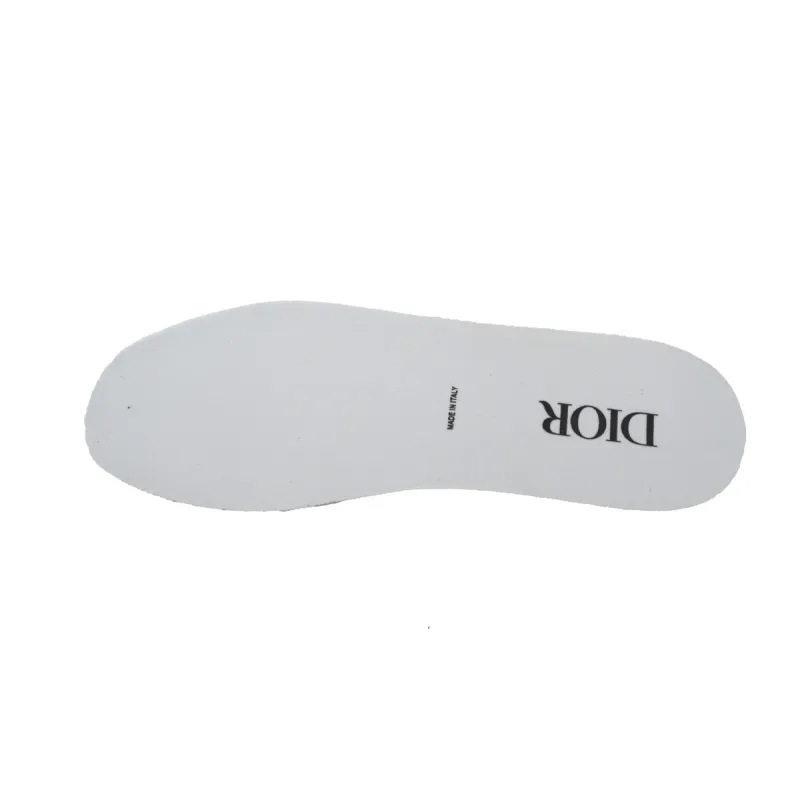 Dior B27Low White