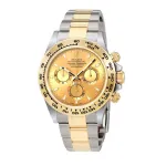 Cosmograph Daytona Cosmograph Champagne Dial M116503-0003
