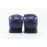 EM Sneakers Nike SB Dunk Low Concepts Purple Lobster