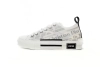 EM Sneakers Dior B23 Low Top Daniel Asham Newspaper