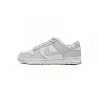 EMSneakers Nike Dunk Low Photon Dust 01