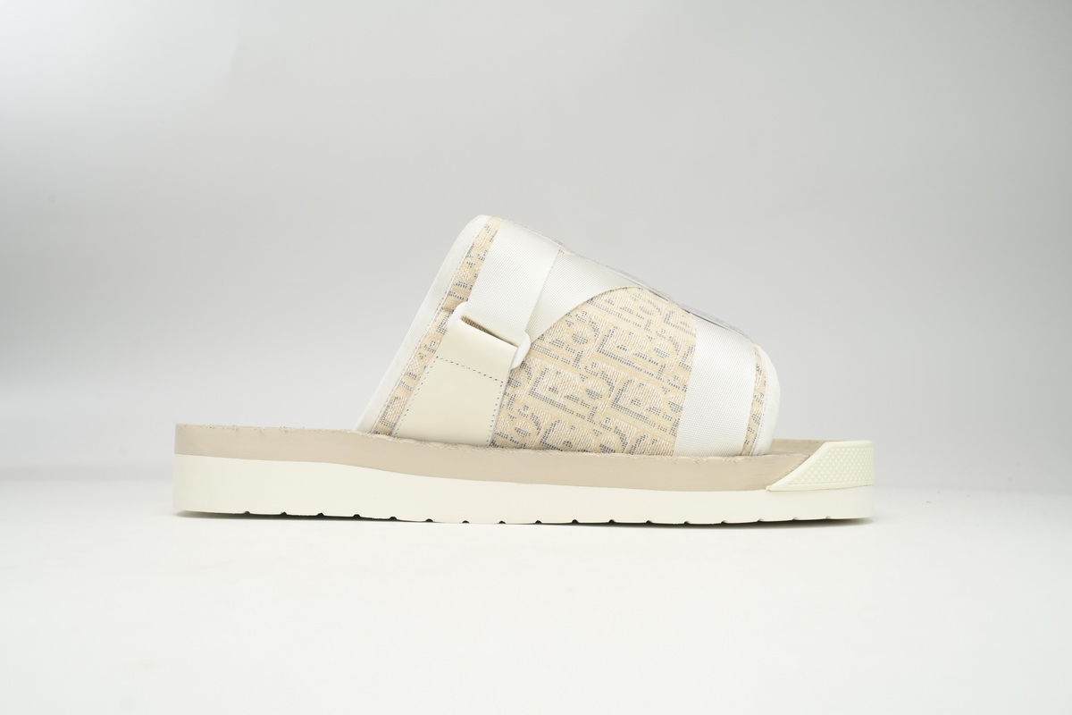 EM Sneakers Dior Alpha Oblique All White