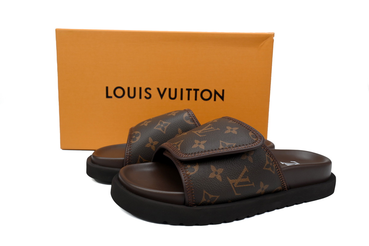 EM Sneakers Louis Vuitton Miami Mules Brown Print