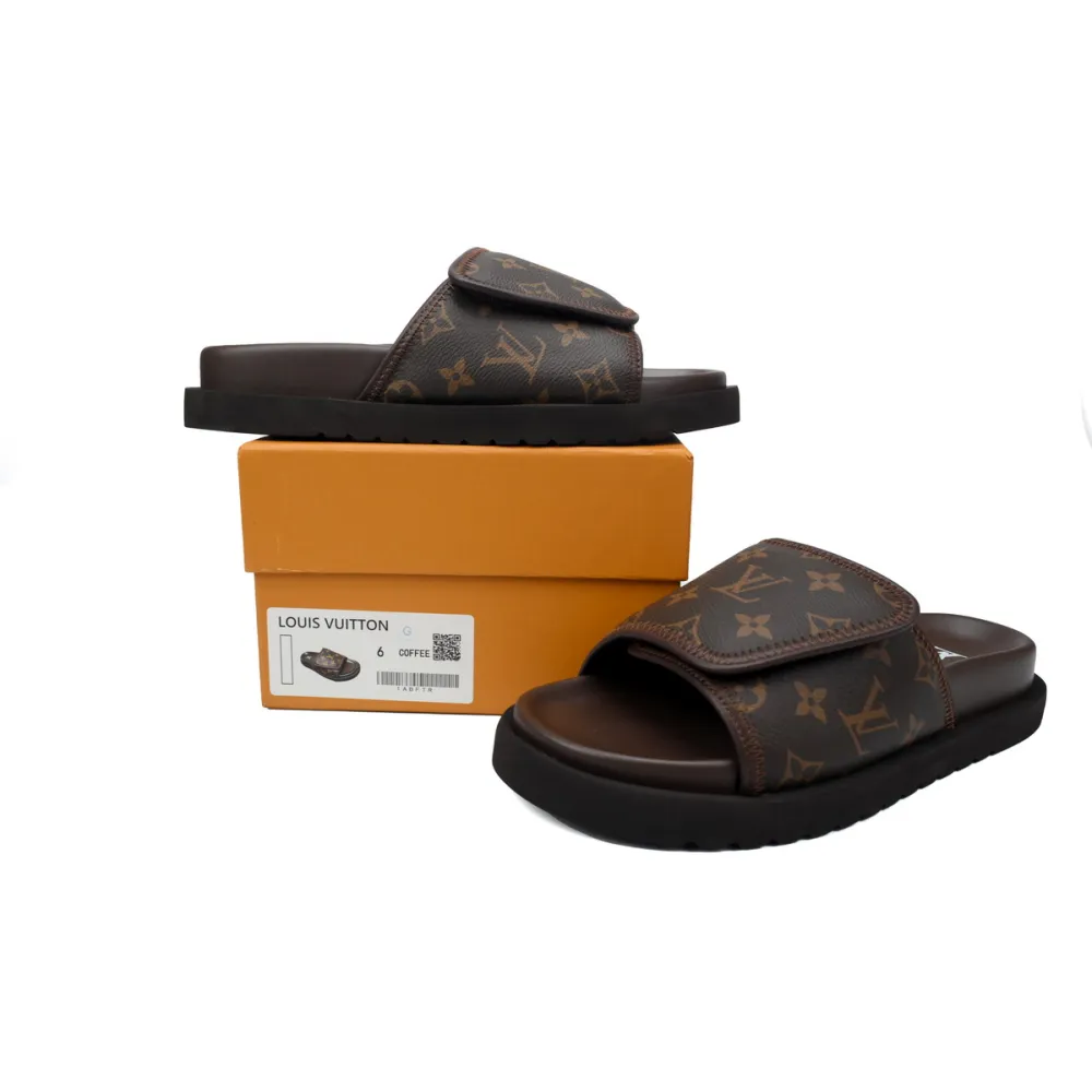 EM Sneakers Louis Vuitton Miami Mules Brown Print