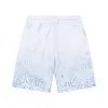 EM Sneakers Dior-shorts pants 204659