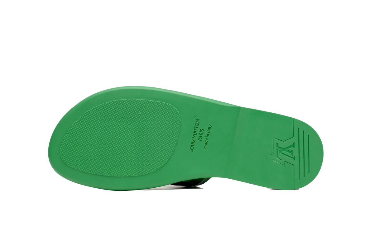 EM Sneakers Louis Vuitton Oasis Mules Green Grid