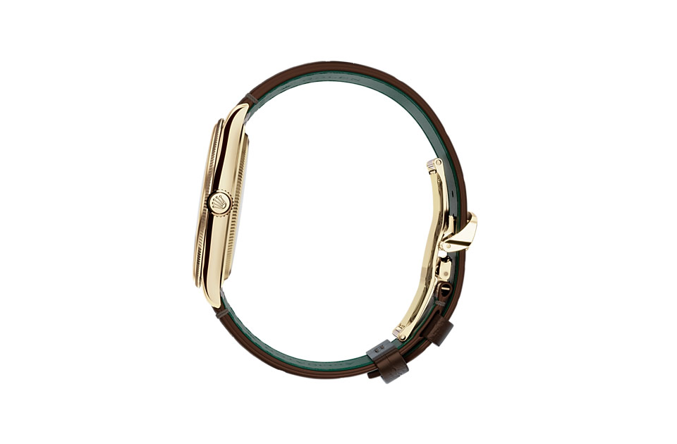 EM Sneakers Rolex 1908 Brown Strap