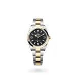 EM Sneakers Rolex Explorer 124273 Gold Case