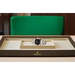 EM Sneakers Rolex Explorer 124273 Gold Case