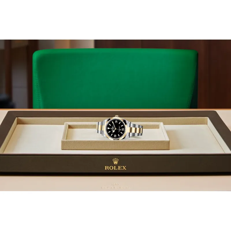 EM Sneakers Rolex Explorer 124273 Gold Case