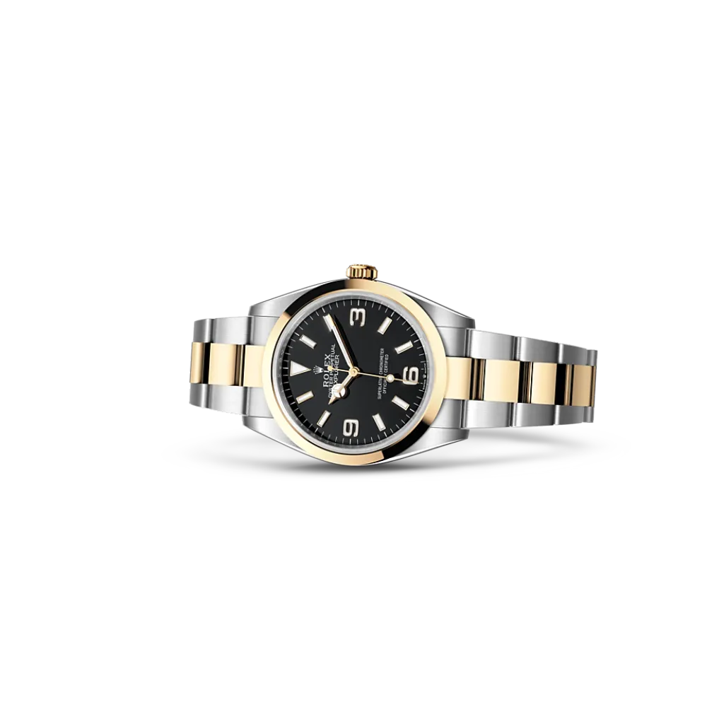 EM Sneakers Rolex Explorer 124273 Gold Case