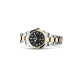 EM Sneakers Rolex Explorer 124273 Gold Case