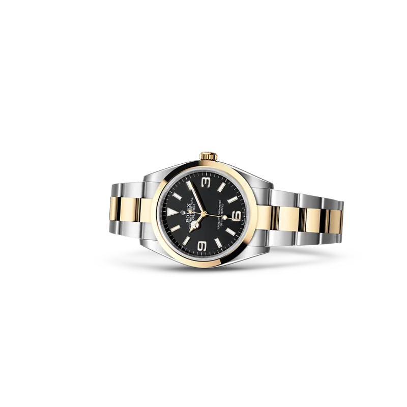 EM Sneakers Rolex Explorer 124273 Gold Case