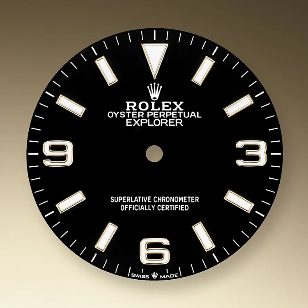 EM Sneakers Rolex Explorer 124273 Gold Case