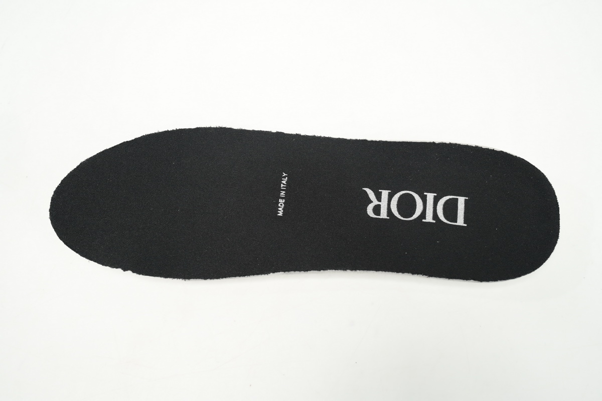 EM Sneakers Dior B22 Black Silver 