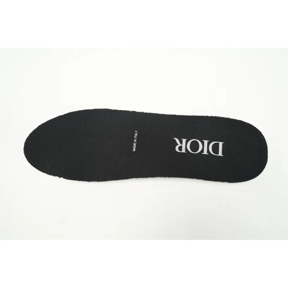 EM Sneakers Dior B22 Black Silver 