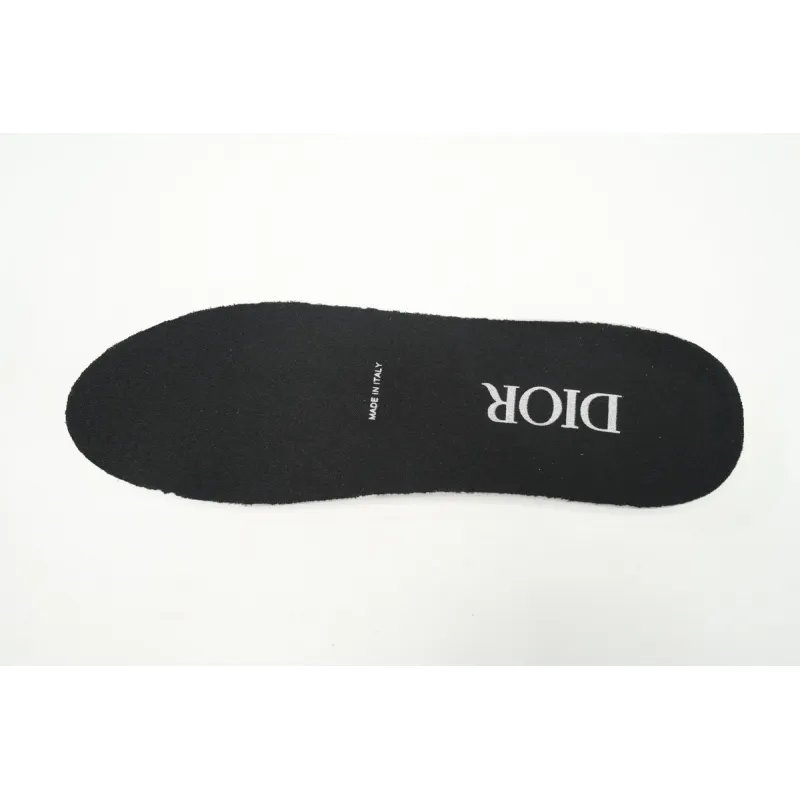 EM Sneakers Dior B22 Black Silver 