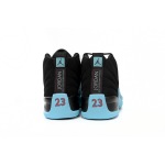 EM Sneakers Air Jordan 12 Black Orchid