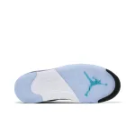 EM Sneakers Air Jordan 5 Retro Grape 2025