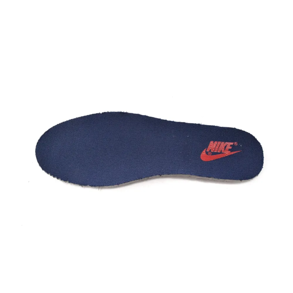 EM Sneakers Nike Dunk Low Michigan (2021)