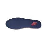 EM Sneakers Nike Dunk Low Michigan (2021)
