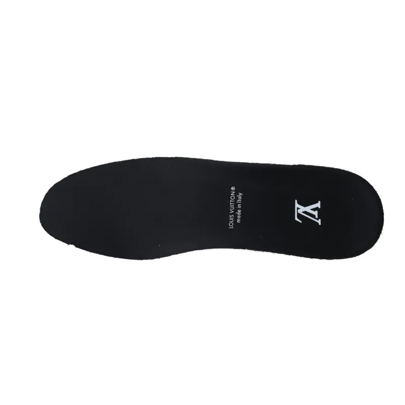 EM Sneakers Louis Vuitton LV Skate Sneaker Black