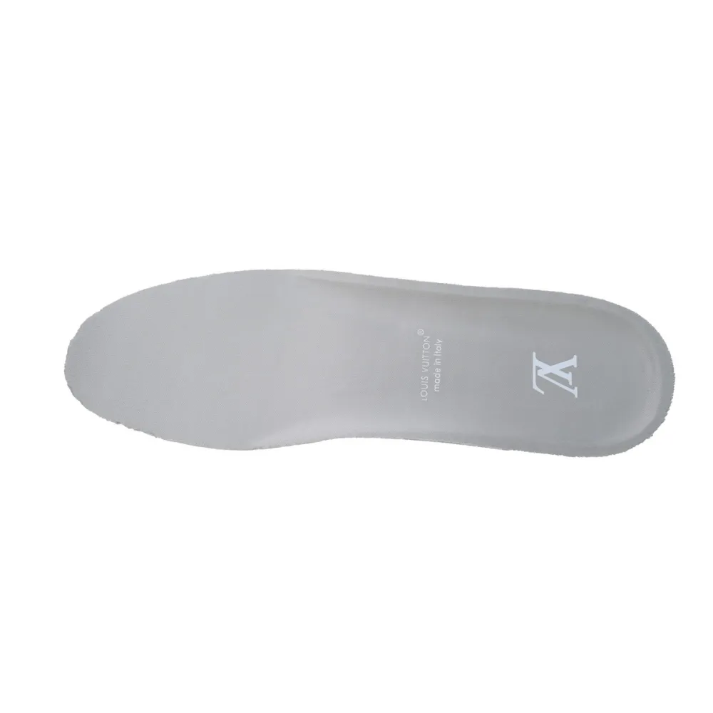 EM Sneakers Louis Vuitton LV Skate Sneaker Gray