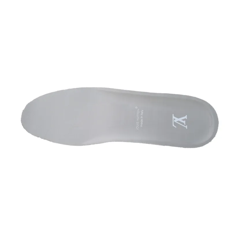 EM Sneakers Louis Vuitton LV Skate Sneaker Gray
