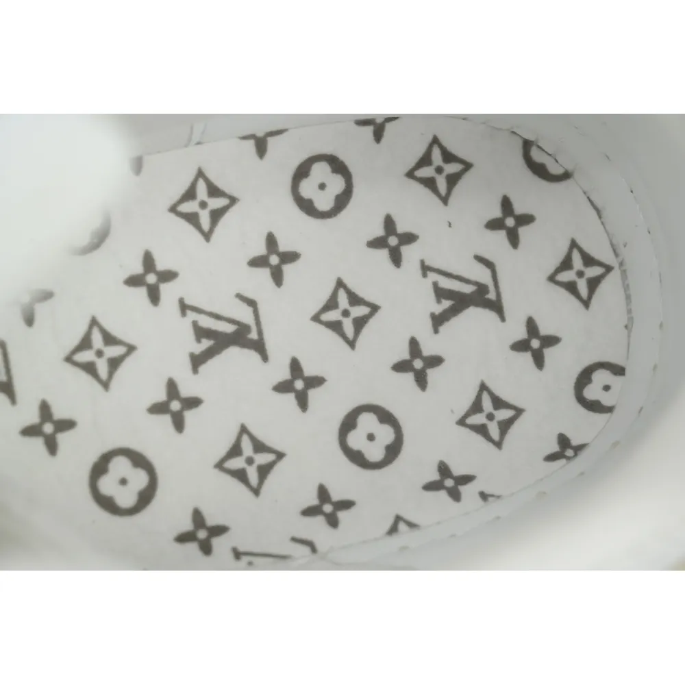 EM Sneakers Louis Vuitton Trainer Beige