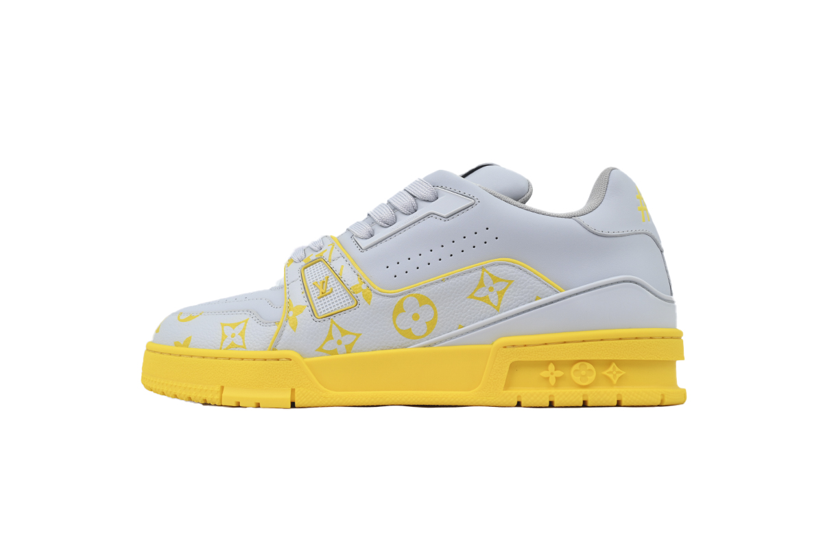 EM Sneakers Louis Vuitton Trainer Grey Color Printing
