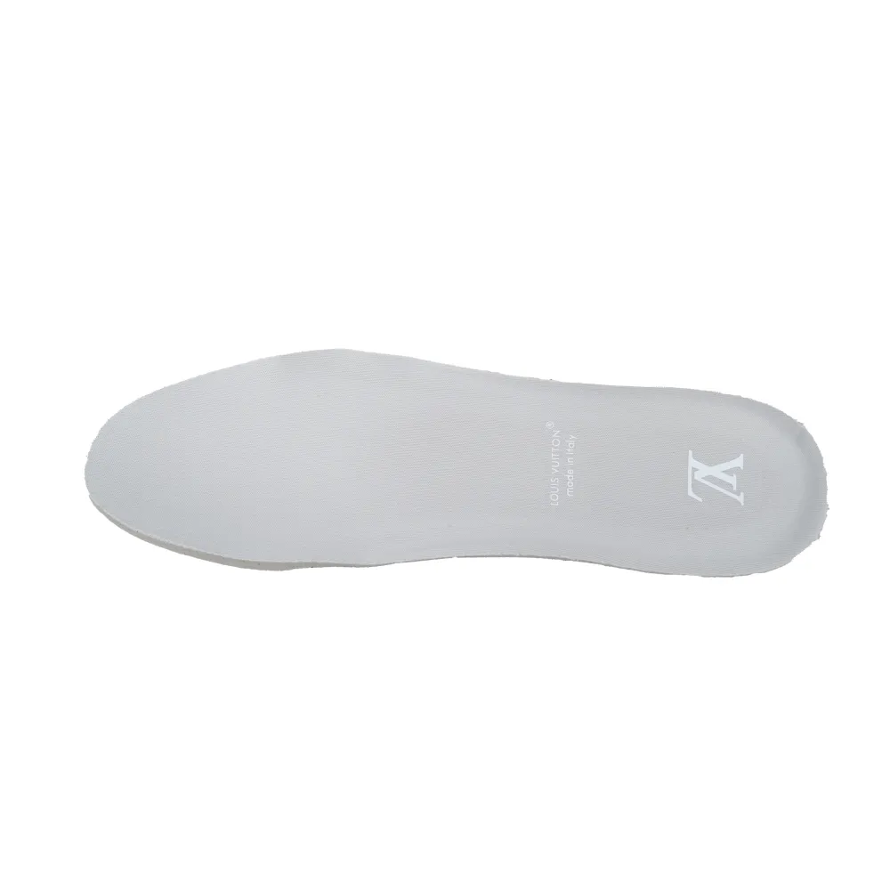 EM Sneakers Louis Vuitton Trainer Grey Color Printing