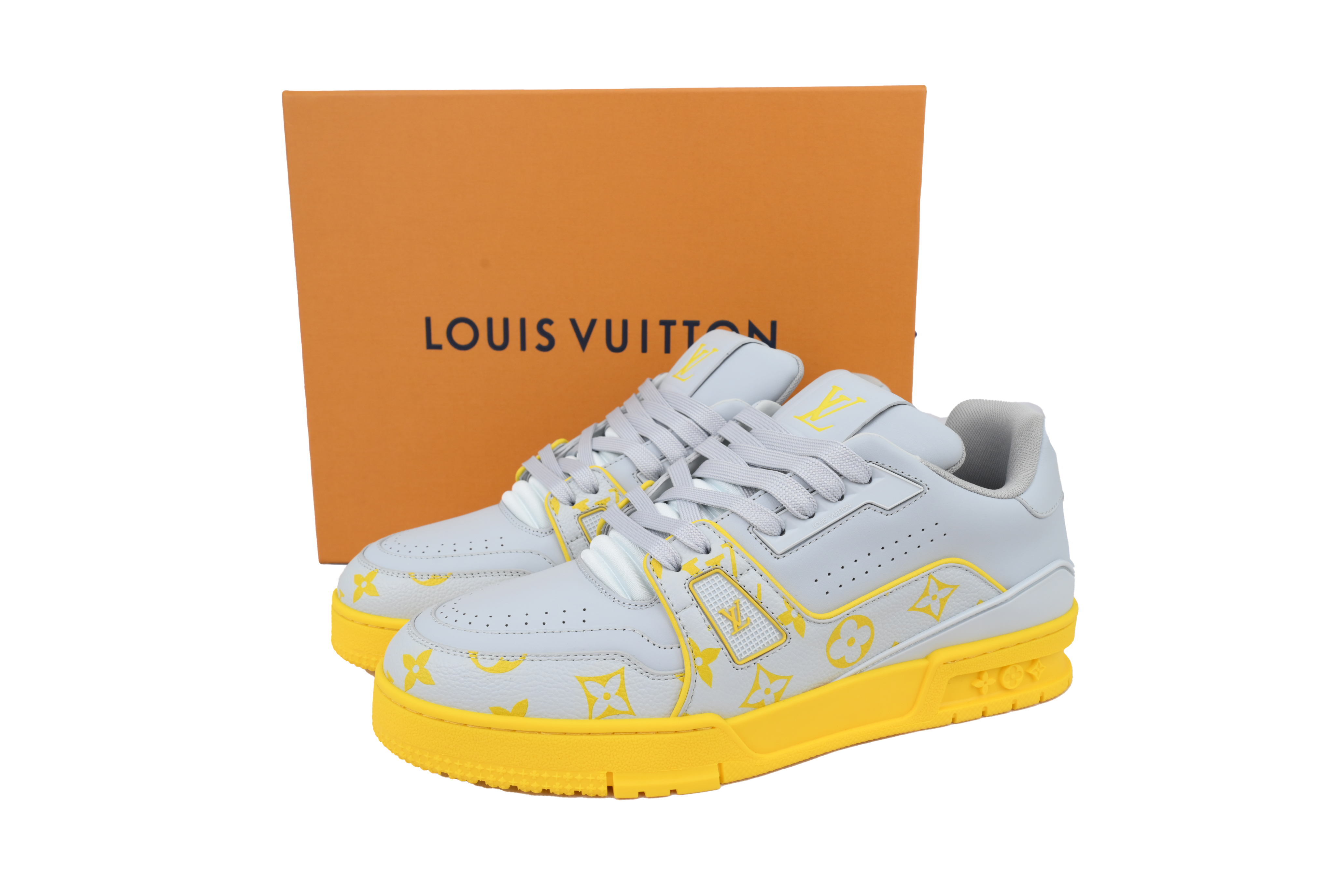 EM Sneakers Louis Vuitton Trainer Grey Color Printing