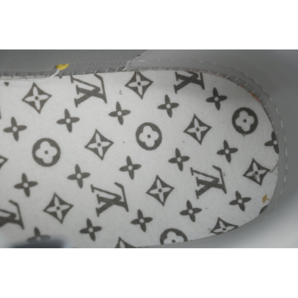 EM Sneakers Louis Vuitton Trainer Grey Color Printing