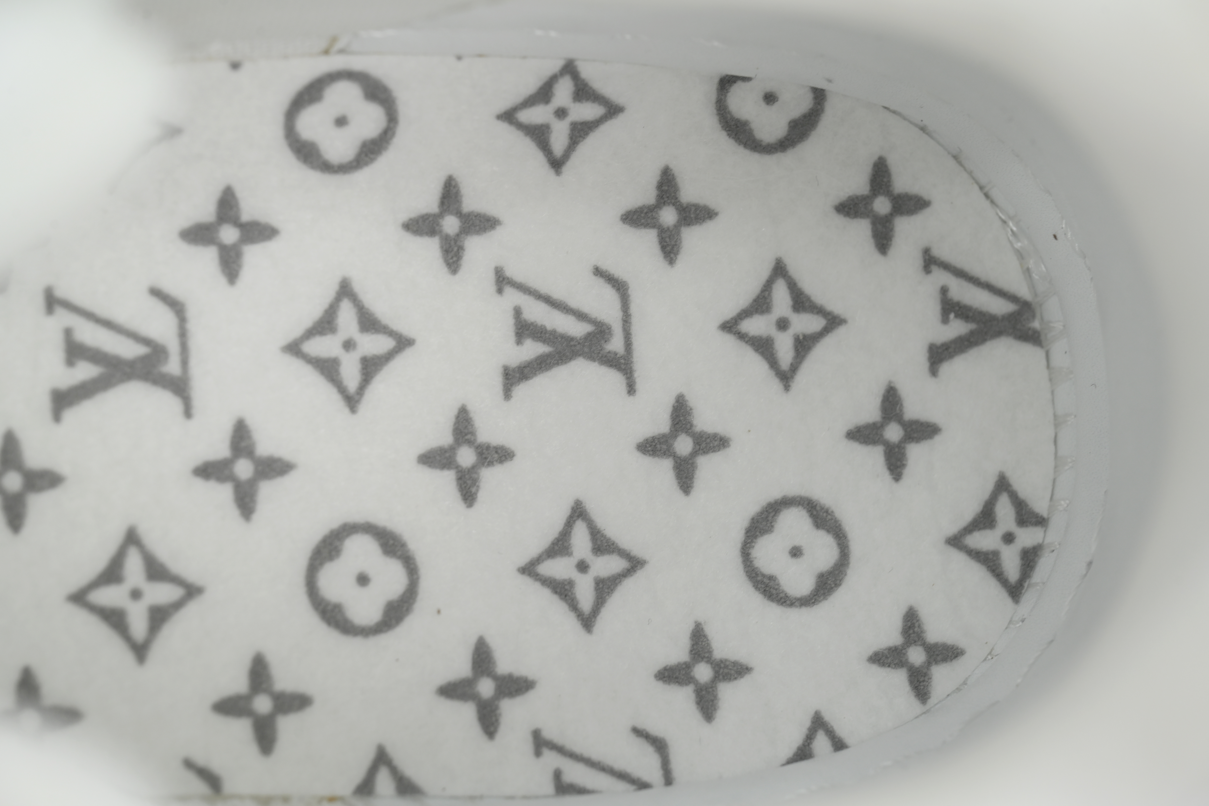 EM Sneakers Louis Vuitton Trainer White Lychee Lacquer Skin