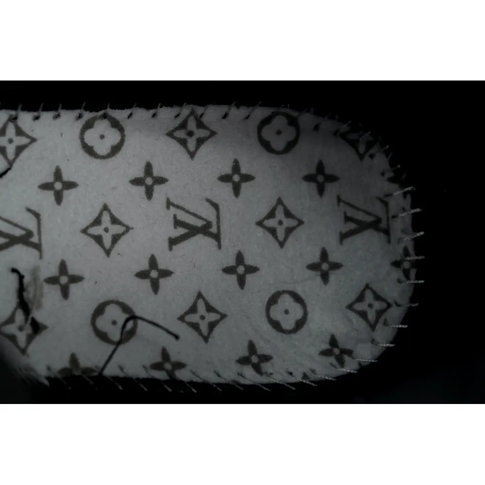 EM Sneakers Louis Vuitton LV Skate Sneaker Horse Hair Black Diamond