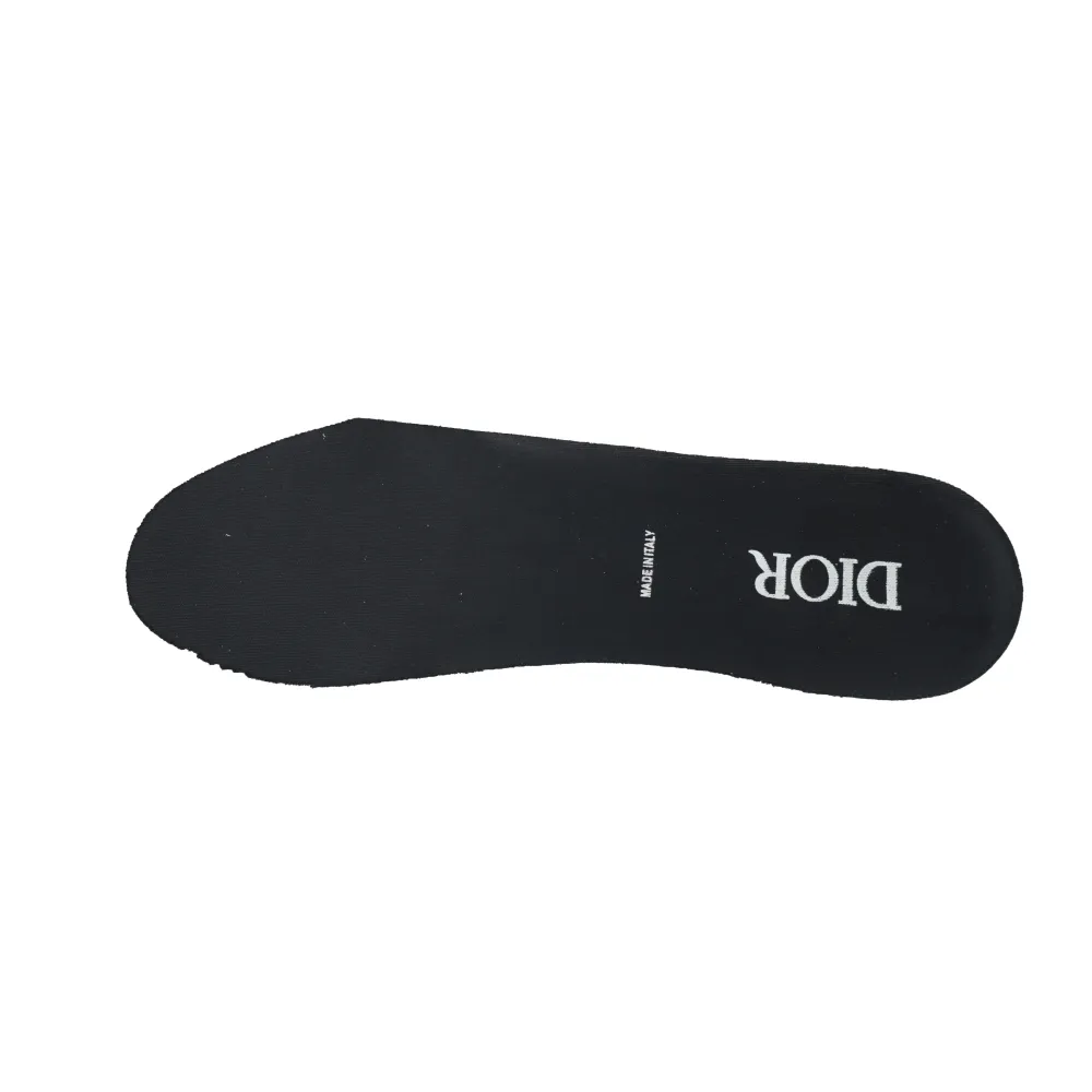 EM Sneakers Dior B30 Sneakers Gray