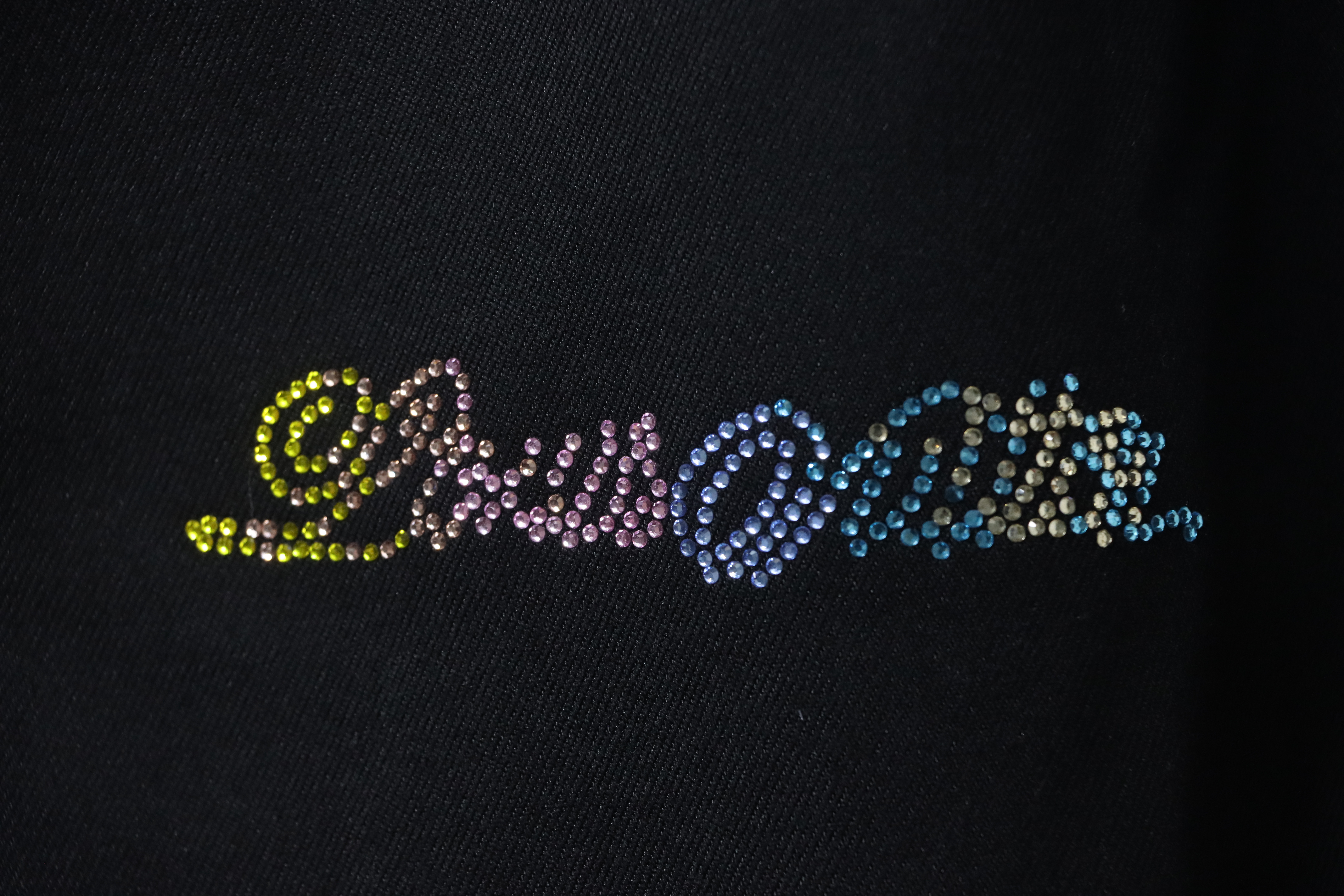 EM Sneakers Louis Vuitton Leather and Rhinestone Waisted Baseball Jacket Black