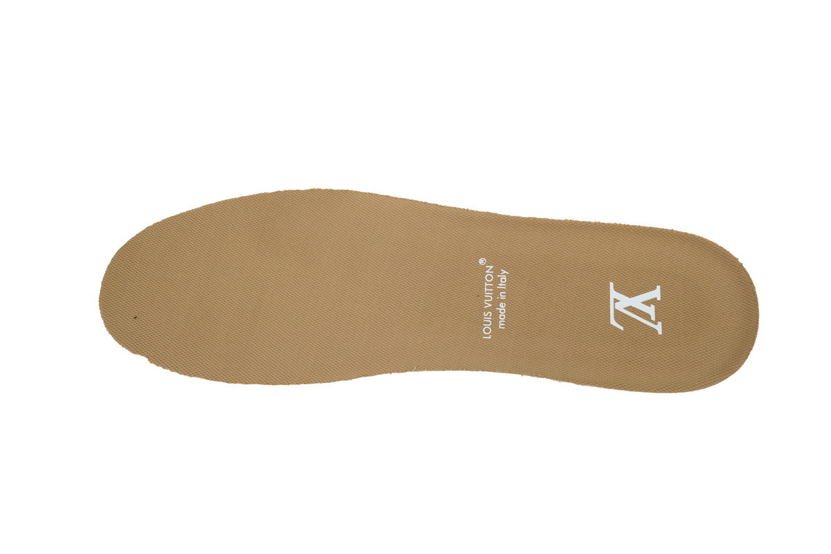 EM Sneakers Louis Vuitton LV Trainer × NIGO Co Branded Coffee Colors