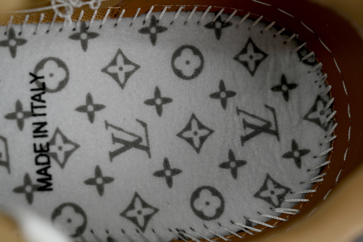 EM Sneakers Louis Vuitton LV Trainer × NIGO Co Branded Coffee Colors