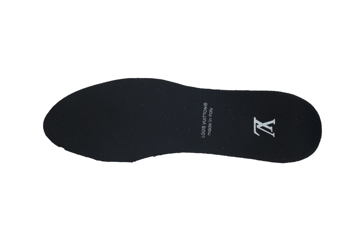 EM Sneakers Louis Vuitton LV Skate Sneaker All Black