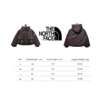 EM Sneakers The North Face TF Outdoor UE Pioneer Design Contrast Color Down Jacket Brown