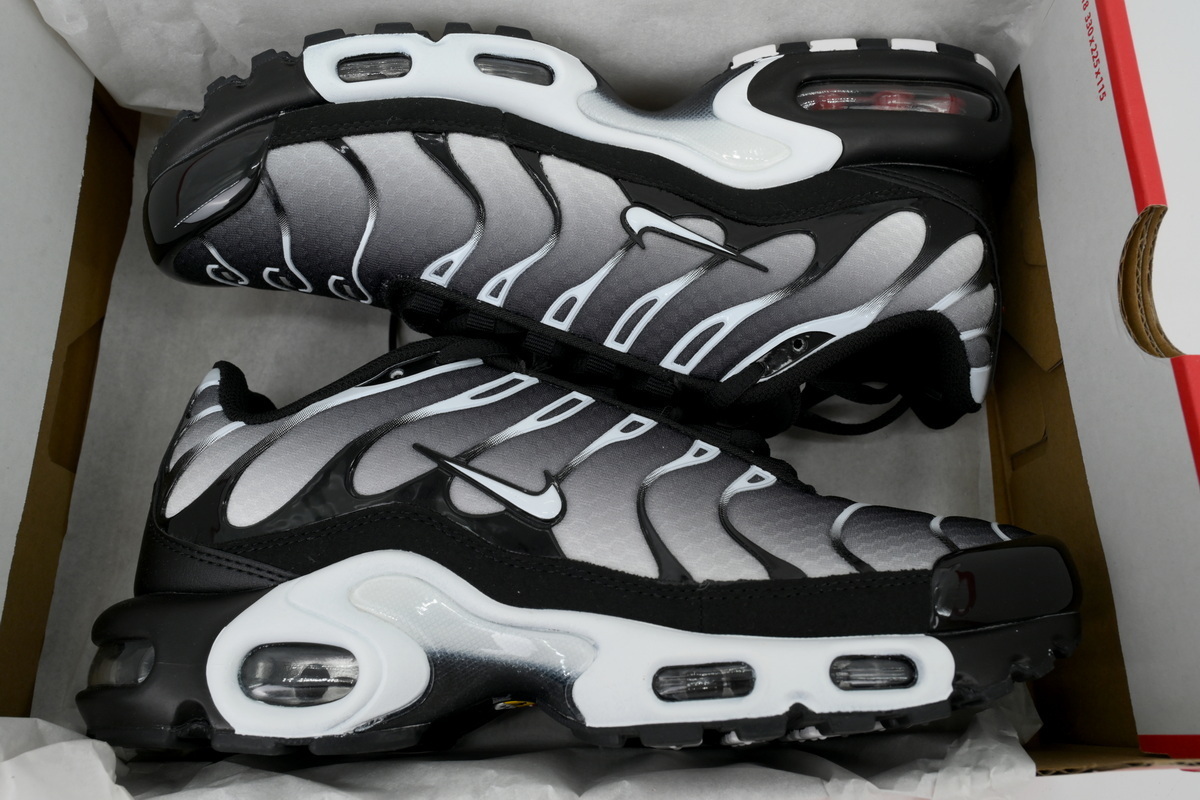 EM Sneakers Nike Air Max Plus Black Metallic Silver