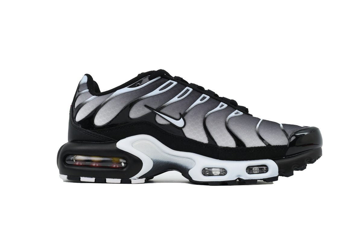 EM Sneakers Nike Air Max Plus Black Metallic Silver