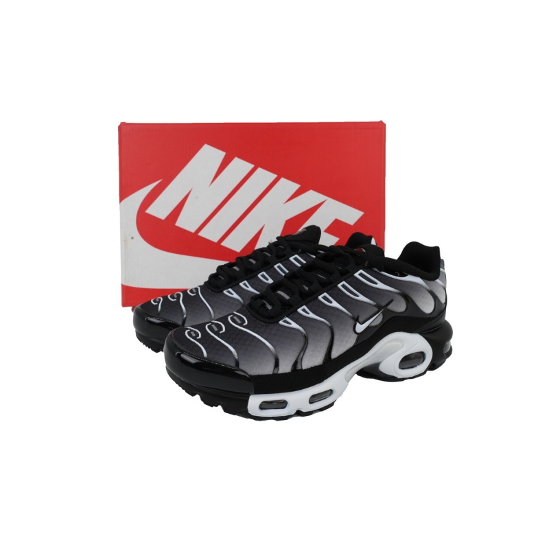 EM Sneakers Nike Air Max Plus Black Metallic Silver
