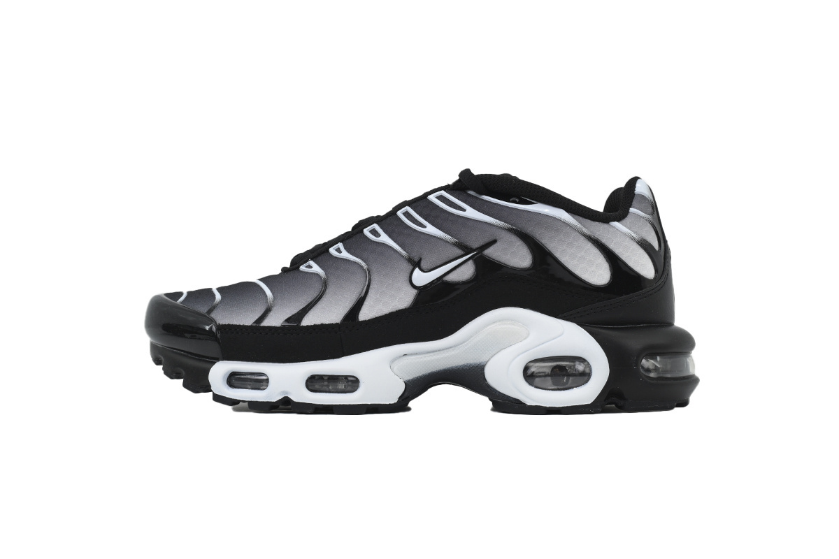 EM Sneakers Nike Air Max Plus Black Metallic Silver
