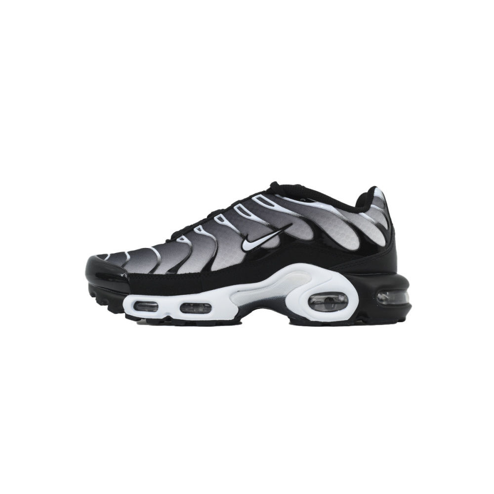 EM Sneakers Nike Air Max Plus Black Metallic Silver