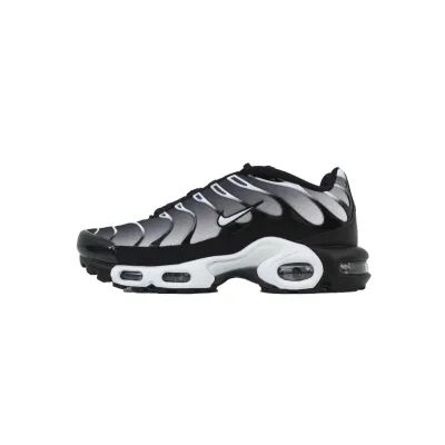 EM Sneakers Nike Air Max Plus Black Metallic Silver 01